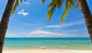 accuel_img_iles