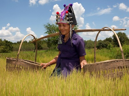 Akha tribe