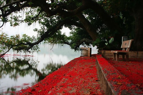 HN Hoian Kien in red