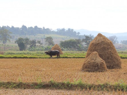 Hsipaw2