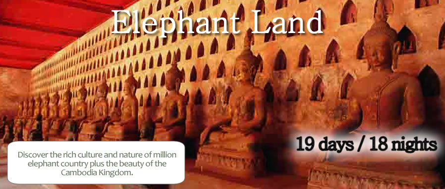 Elephant Land