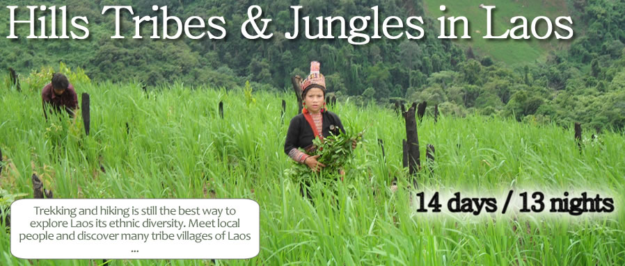 Hills Tribes & Jungles in Laos 