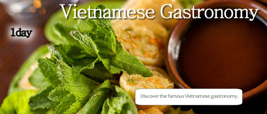 vietnam_gastronomievietnamienne