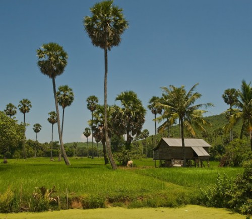 Excursions Cambodia32