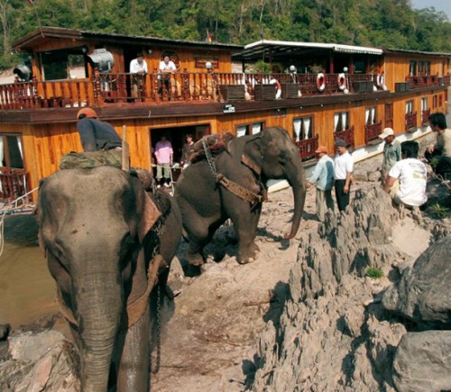 image_manager__img1134_530_20_mekong-elephants_in_action-laos